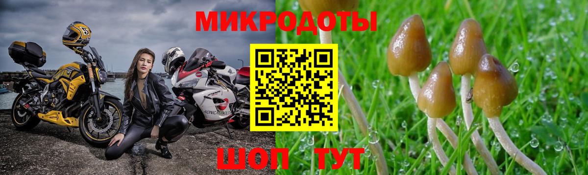 Кирово-Чепецк  Псилоцибиновые грибы прущие грибы  Галлюциногенные грибы ЛСД  Вход с VPN 